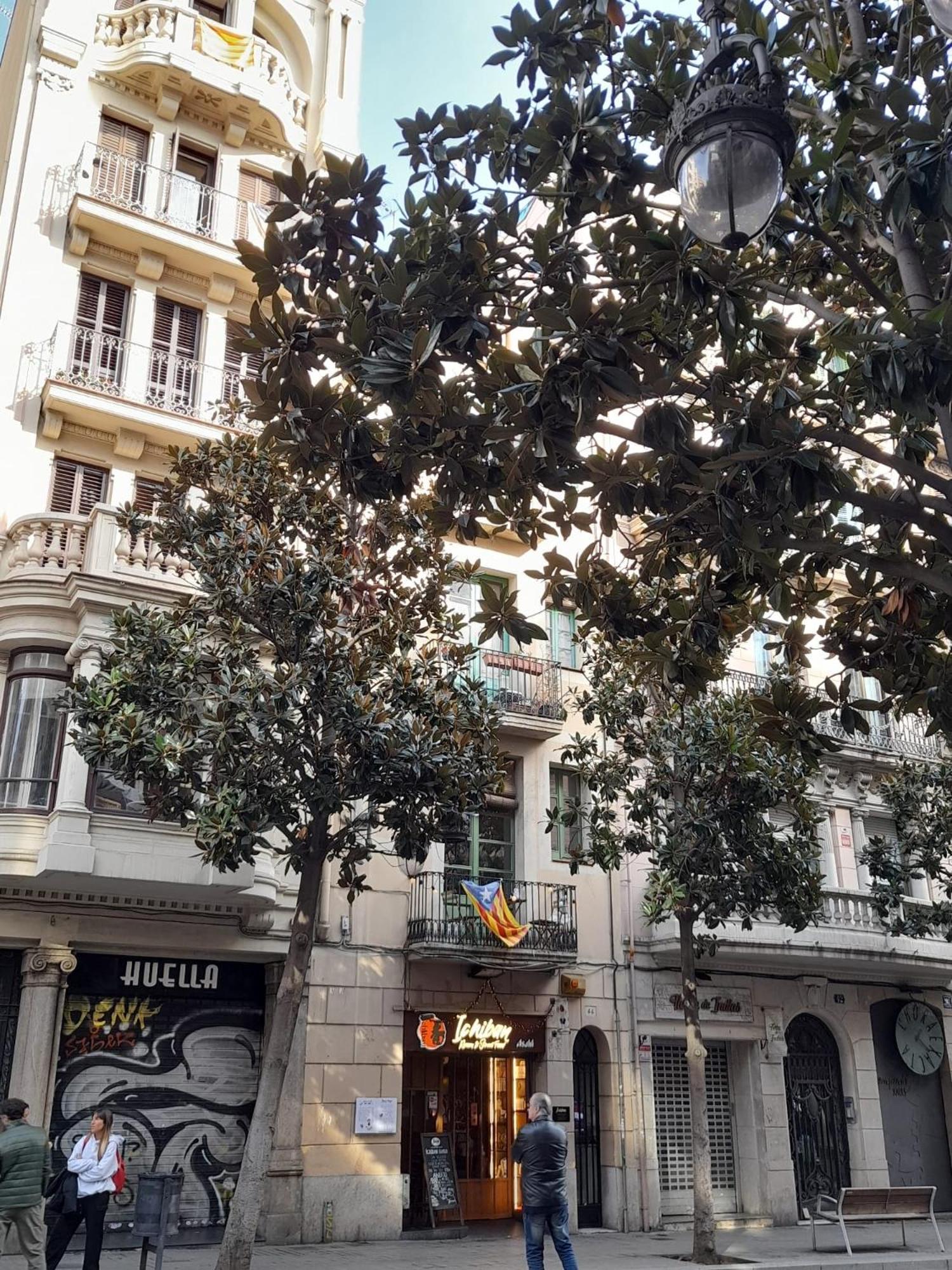 La Casa De Laura Nisia B&B Barselona Dış mekan fotoğraf